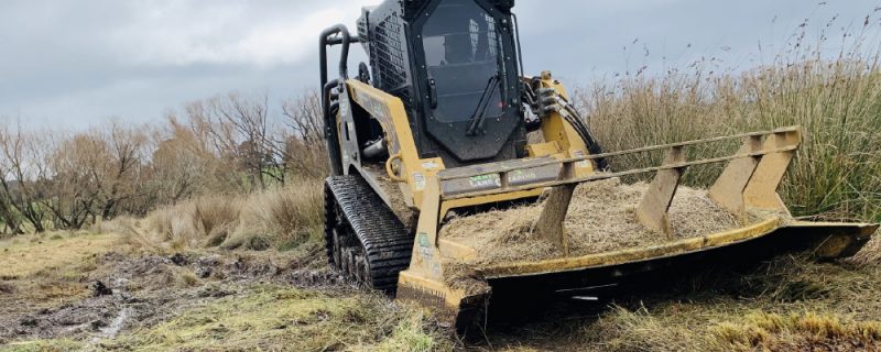 what-is-gorse-how-can-you-remove-it-gorse-management